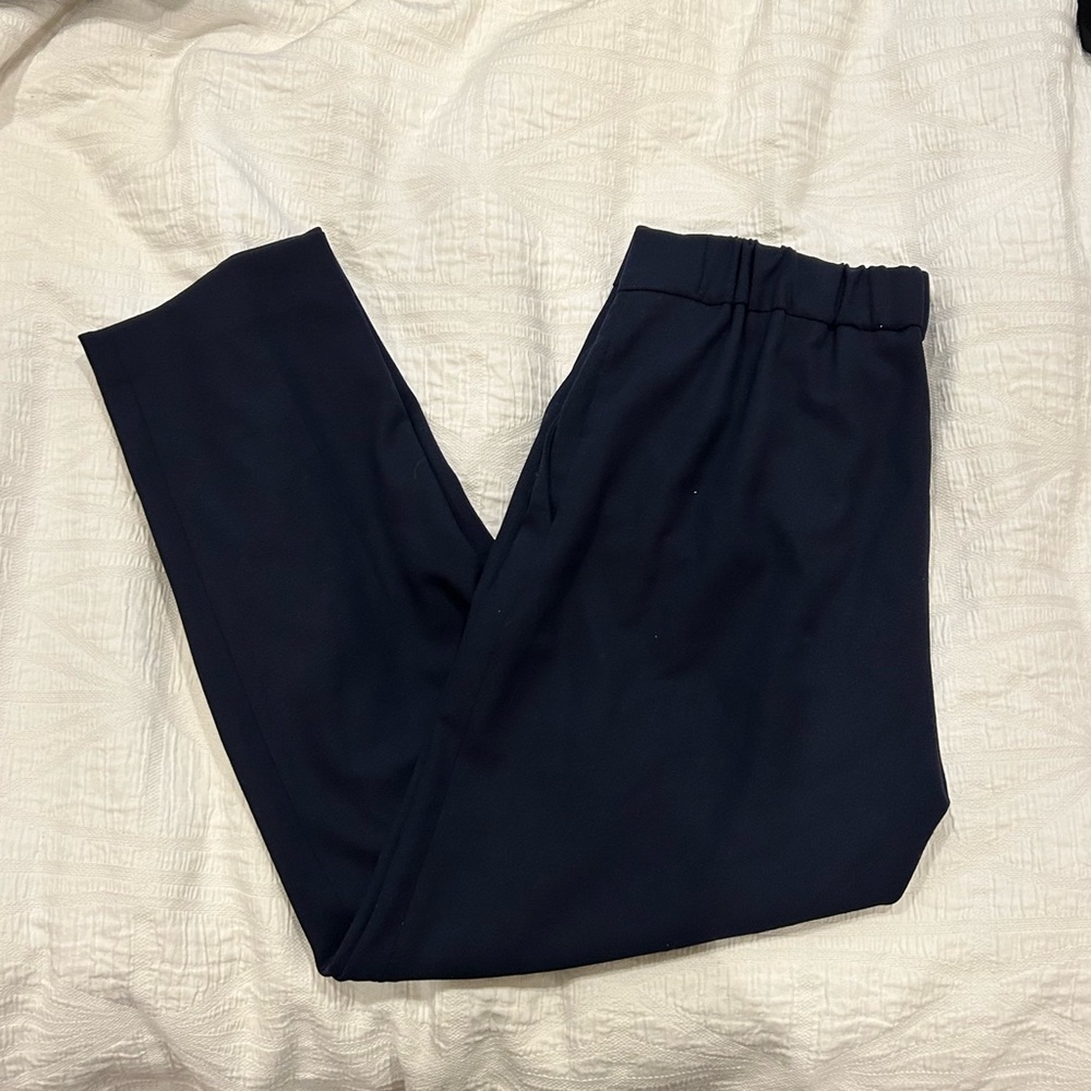 Aritzia Navy Ankle Pants